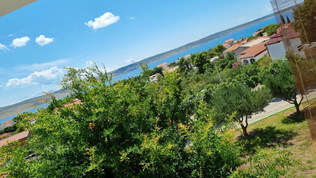 Arts Room Jasmina With Sea View Bikers And Pets Are Welcome Starigrad Paklenica Bagian luar foto